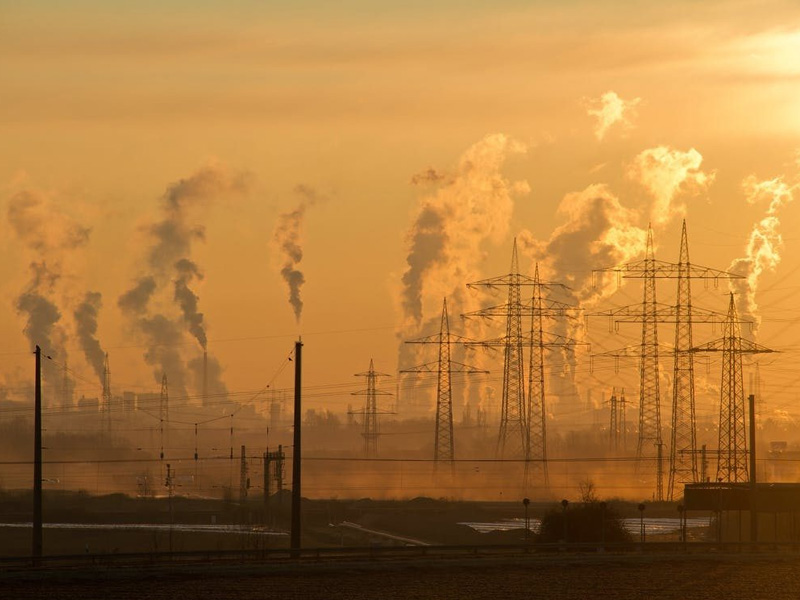 71% of Global Survey Respondents See Climate, Covid-19 Crises as Equally Important